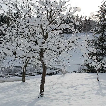 Alte Muehle * Fuegenberg